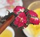 Чорний чай Шу Пуер з трояндою пресований китайський 100г id_3336 фото 7